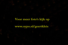 R96022zj4ibbqe7h35em.240x240